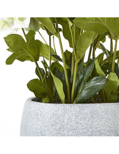Hill Interiors White Hellebore Plant In Grey Pot 23764
