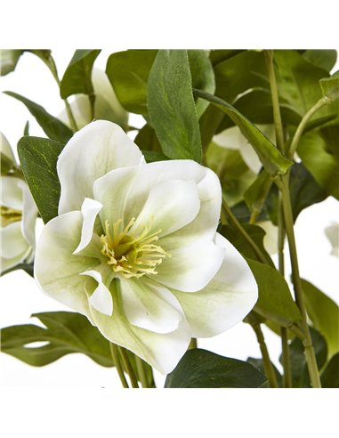 Hill Interiors White Hellebore Plant In Grey Pot 23764