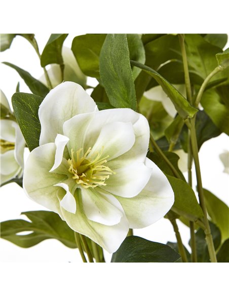 Hill Interiors White Hellebore Plant In Grey Pot 23764 - pic 113709 | FastDaddyshop