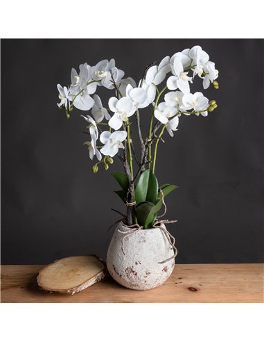 Hill Interiors White Orchid In Stone Pot 19956