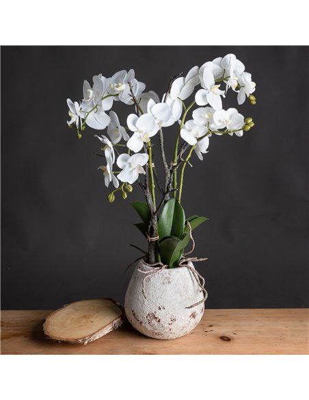 Hill Interiors White Orchid In Stone Pot 19956 - pic 113974 | FastDaddyshop