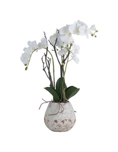 Hill Interiors White Orchid In Stone Pot 19956