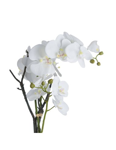 Hill Interiors White Orchid In Stone Pot 19956
