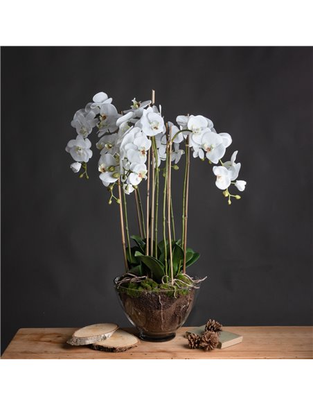 Hill Interiors Large White Orchid In Glass Pot 19959 - pic 113978 | FastDaddyshop