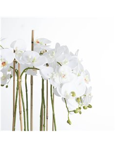 Hill Interiors Large White Orchid In Glass Pot 19959 2