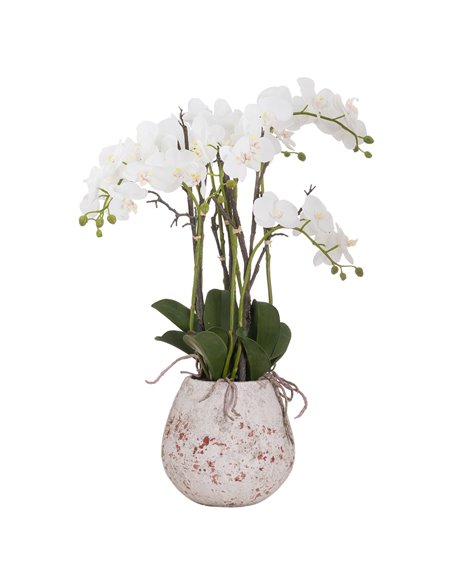 Hill Interiors Large Stone Potted Orchid With Roots 20430 - pic 113981 | FastDaddyshop