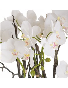 Hill Interiors Large Stone Potted Orchid With Roots 20430 2