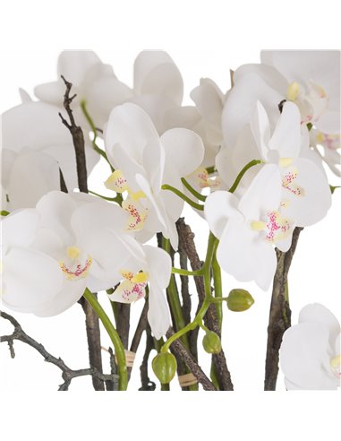 Hill Interiors Large Stone Potted Orchid With Roots 20430