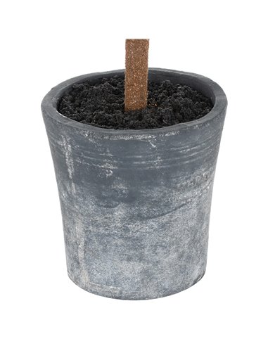 Hill Interiors Christmas Fir Tree In Stone Pot 21812