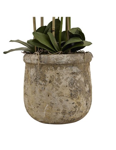 Hill Interiors Large White Orchid In Antique Stone Pot 22641