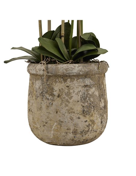 Hill Interiors Large White Orchid In Antique Stone Pot 22641 - pic 113992 | FastDaddyshop