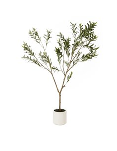 Hill Interiors Apulia Olive Tree In White Pot 180Cm 23707