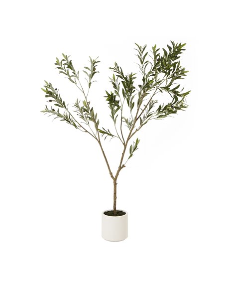 Hill Interiors Apulia Olive Tree In White Pot 180Cm 23707 - pic 114038 | FastDaddyshop