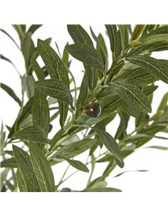 Hill Interiors Apulia Olive Tree In White Pot 180Cm 23707 2