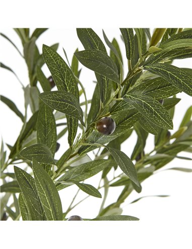 Hill Interiors Apulia Olive Tree In White Pot 180Cm 23707