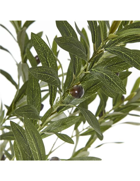 Hill Interiors Apulia Olive Tree In White Pot 180Cm 23707 - pic 114039 | FastDaddyshop
