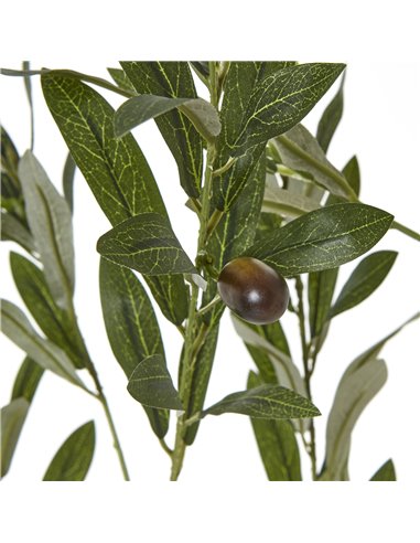 Hill Interiors Apulia Olive Tree In White Pot 180Cm 23707