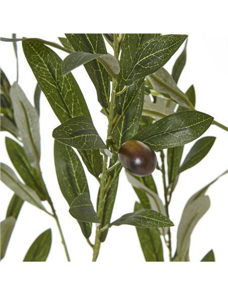 Hill Interiors Apulia Olive Tree In White Pot 180Cm 23707 - pic 114040 | FastDaddyshop