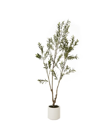 Hill Interiors Apulia Olive Tree In White Pot 210Cm 23708 - pic 114043 | FastDaddyshop