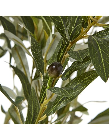 Hill Interiors Apulia Olive Tree In White Pot 210Cm 23708