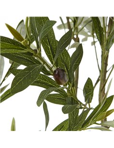 Hill Interiors Apulia Olive Tree In White Pot 200Cm 23709 2