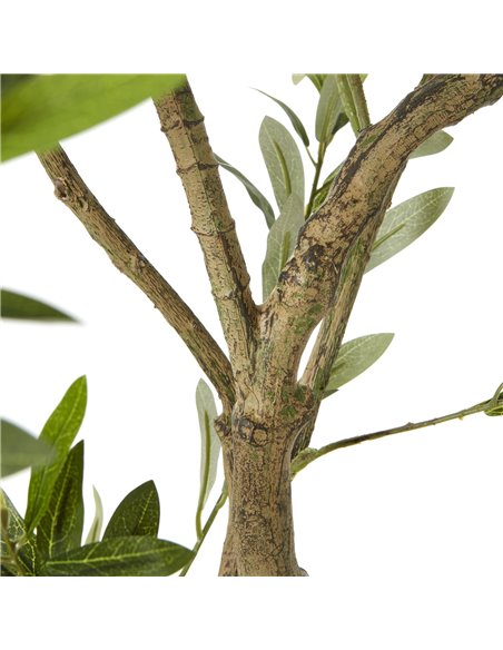 Hill Interiors Apulia Olive Tree In White Pot 200Cm 23709 - pic 114050 | FastDaddyshop