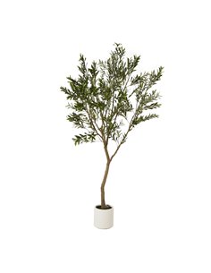 Hill Interiors Apulia Olive Tree In White Pot 240Cm 23710