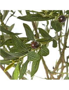 Hill Interiors Apulia Olive Tree In White Pot 240Cm 23710 2