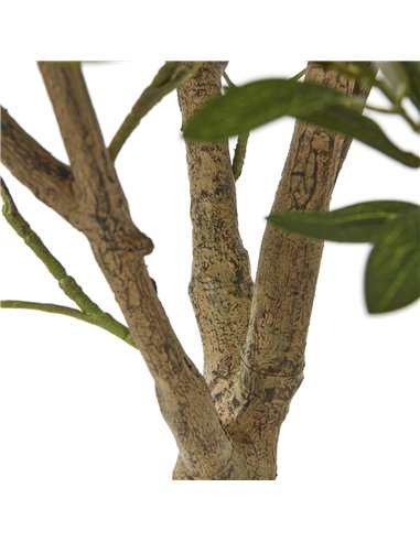 Hill Interiors Apulia Olive Tree In White Pot 240Cm 23710