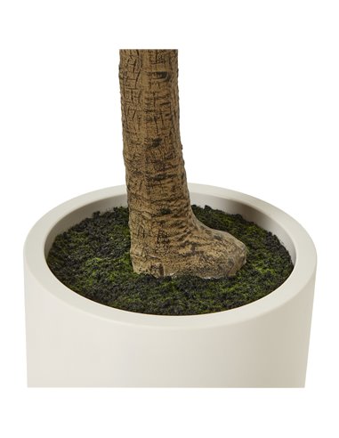 Hill Interiors Apulia Olive Tree In White Pot 240Cm 23710