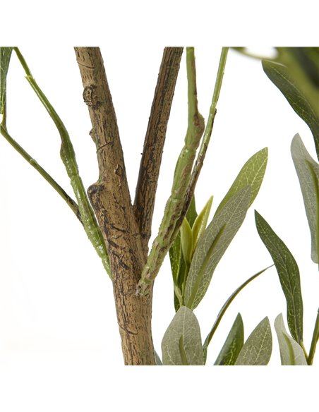 Hill Interiors Apulia Olive Tree In White Pot 150Cm 23711 - pic 114060 | FastDaddyshop
