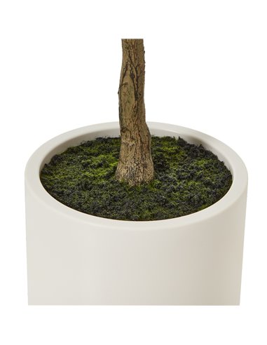 Hill Interiors Apulia Olive Tree In White Pot 150Cm 23711