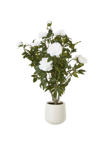 Hill Interiors Extra Large White Peony Bush In Pot 23756 - pic 114063 | FastDaddyshop
