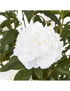 Hill Interiors Extra Large White Peony Bush In Pot 23756 2