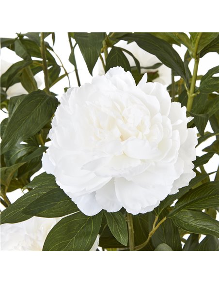 Hill Interiors Extra Large White Peony Bush In Pot 23756 - pic 114064 | FastDaddyshop