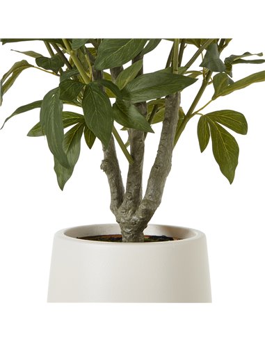 Hill Interiors Extra Large White Peony Bush In Pot 23756