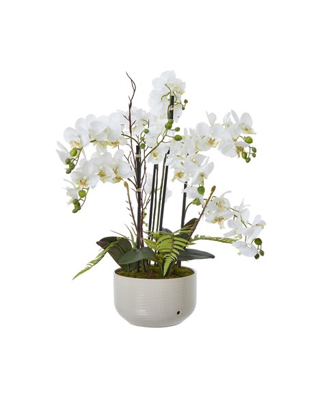 Hill Interiors Large White Orchid In Ceramic Pot 23758 - pic 114067 | FastDaddyshop