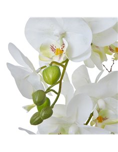 Hill Interiors Large White Orchid In Ceramic Pot 23758 2