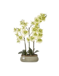 Hill Interiors Large Green Orchid In Ceramic Pot 23759