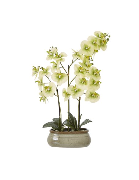 Hill Interiors Large Green Orchid In Ceramic Pot 23759 - pic 114071 | FastDaddyshop