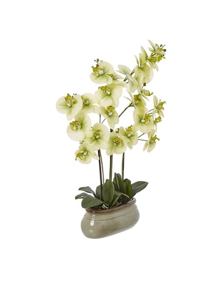 Hill Interiors Large Green Orchid In Ceramic Pot 23759 - pic 114072 | FastDaddyshop