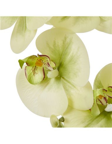 Hill Interiors Large Green Orchid In Ceramic Pot 23759