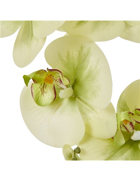 Hill Interiors Large Green Orchid In Ceramic Pot 23759 - pic 114073 | FastDaddyshop