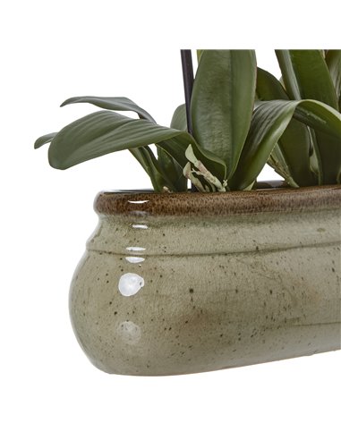 Hill Interiors Large Green Orchid In Ceramic Pot 23759