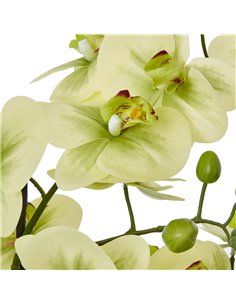 Hill Interiors Extra Large Green Orchid In Ceramic Pot 23761 2