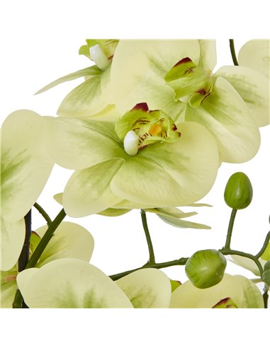 Hill Interiors Extra Large Green Orchid In Ceramic Pot 23761
