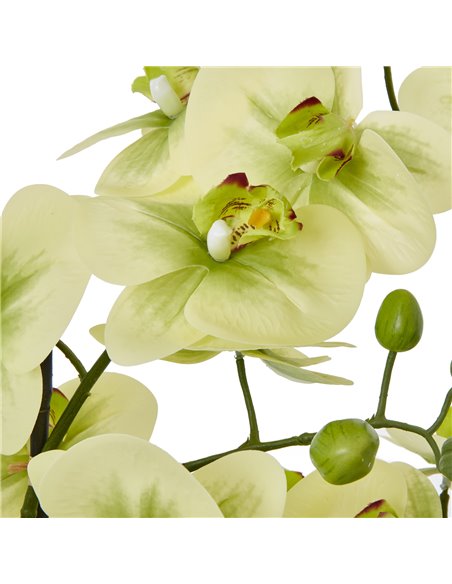Hill Interiors Extra Large Green Orchid In Ceramic Pot 23761 - pic 114076 | FastDaddyshop