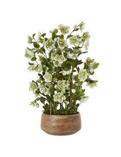 Hill Interiors Large Green Hellebore in Taupe Pot 23766