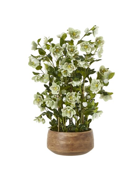 Hill Interiors Large Green Hellebore in Taupe Pot 23766 - pic 114078 | FastDaddyshop