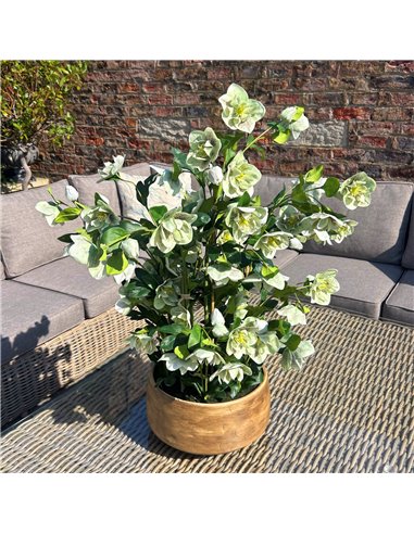 Hill Interiors Large Green Hellebore in Taupe Pot 23766